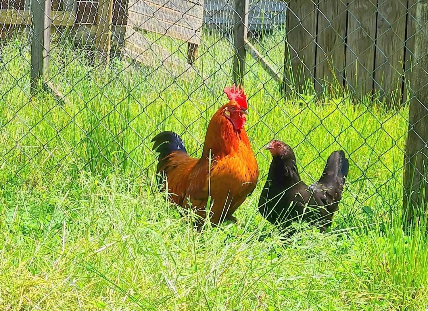 prestations-ferme (5)